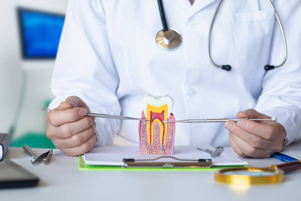 Best Emergency Dentist for Knocked-Out Tooth in Mount Sterling, OH